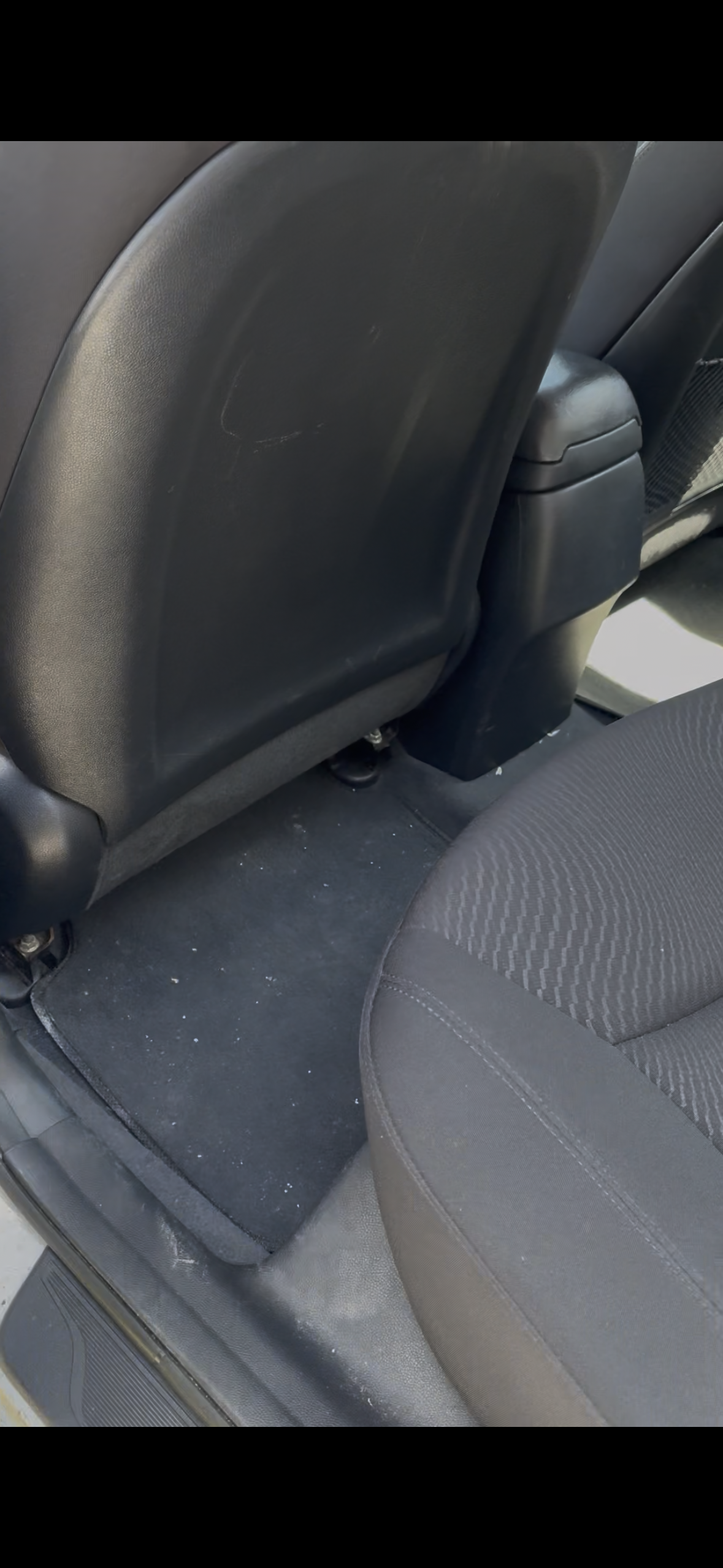 Pet Hair Removal — visible pet hair on seat fabric and mat